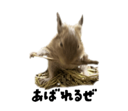 821550078