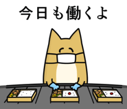 821551162