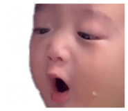 821581953