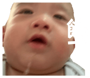 821581955