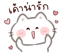 ลายที่ 11