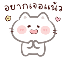 ลายที่ 19