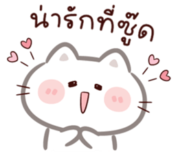 ลายที่ 21