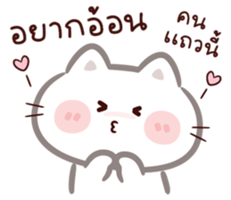 ลายที่ 23