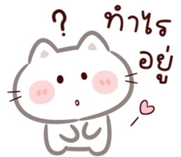 ลายที่ 25