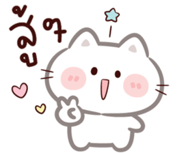 ลายที่ 29