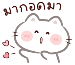 ลายที่ 37