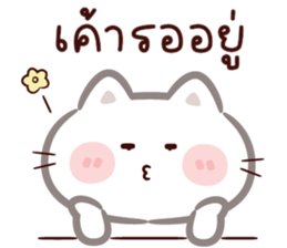 ลายที่ 47