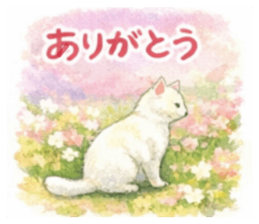 821589563