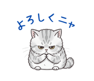 821706467