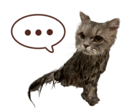 821738311