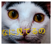 821749095
