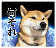 821759269