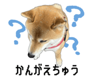 821759270