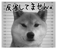 821759272