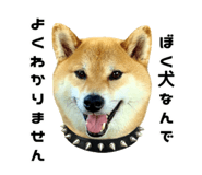 821759275