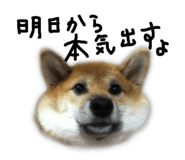 821759277