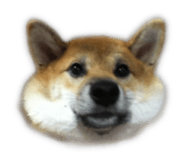 821759278