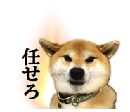 821759282