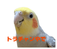821763065