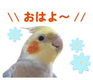 821763066