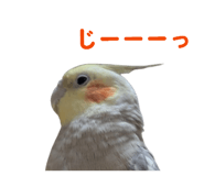 821763067