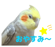 821763071