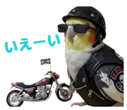 821763072