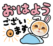 821781114