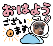 821783339