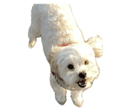 821783900
