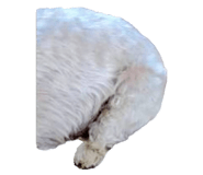 821783908