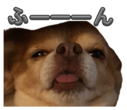 821792653