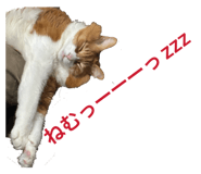 821804809