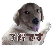 821810724