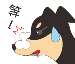 8218172