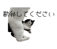 821817847