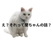 821817853