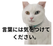 821817855