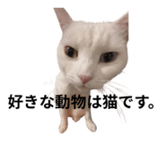 821817856