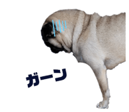 821818438