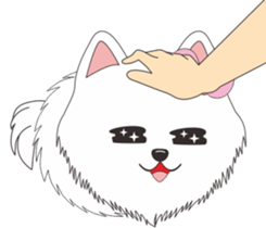 8218192