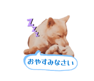 821834306