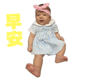 82183969