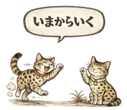 821868643