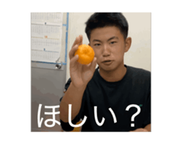 821923053