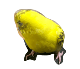 821925679