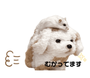 821986262