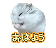 822002212