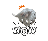 822002214